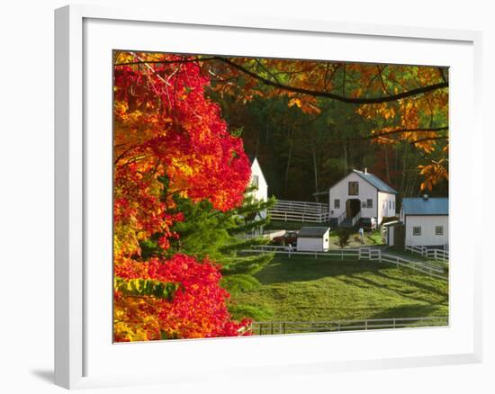 Morning Chores at the Imagination Morgan Horse Farm, Vermont, USA-Charles Sleicher-Framed Photographic Print