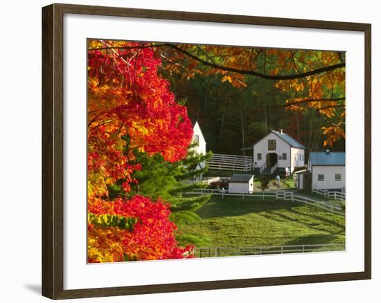 Morning Chores at the Imagination Morgan Horse Farm, Vermont, USA-Charles Sleicher-Framed Photographic Print