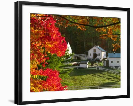 Morning Chores at the Imagination Morgan Horse Farm, Vermont, USA-Charles Sleicher-Framed Photographic Print