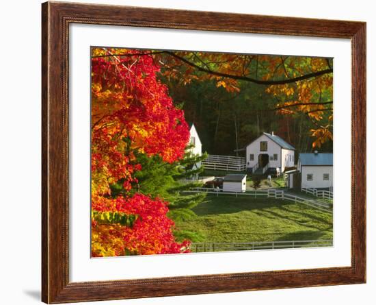 Morning Chores at the Imagination Morgan Horse Farm, Vermont, USA-Charles Sleicher-Framed Photographic Print