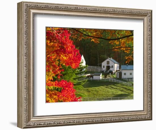 Morning Chores at the Imagination Morgan Horse Farm, Vermont, USA-Charles Sleicher-Framed Photographic Print