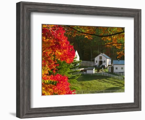 Morning Chores at the Imagination Morgan Horse Farm, Vermont, USA-Charles Sleicher-Framed Photographic Print