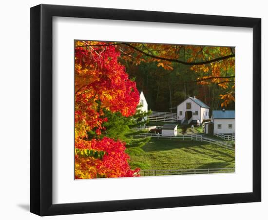 Morning Chores at the Imagination Morgan Horse Farm, Vermont, USA-Charles Sleicher-Framed Photographic Print