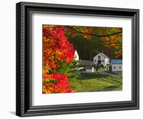 Morning Chores at the Imagination Morgan Horse Farm, Vermont, USA-Charles Sleicher-Framed Photographic Print