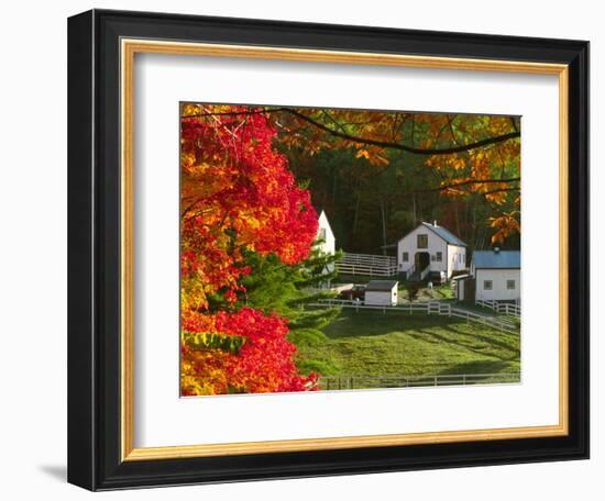 Morning Chores at the Imagination Morgan Horse Farm, Vermont, USA-Charles Sleicher-Framed Photographic Print