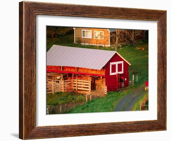 Morning Chores on the Farm, Vershire, Vermont, USA-Charles Sleicher-Framed Photographic Print