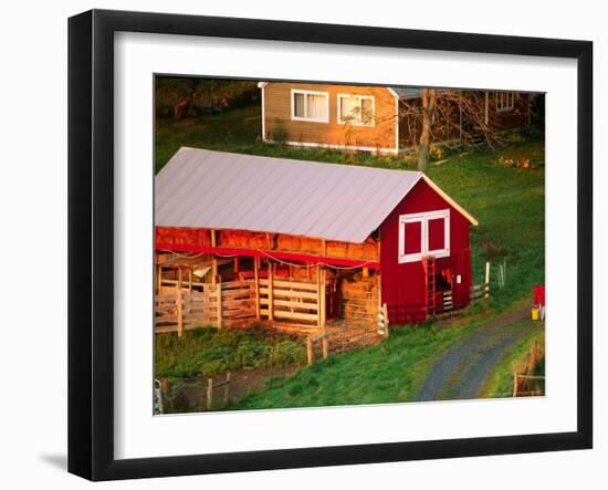 Morning Chores on the Farm, Vershire, Vermont, USA-Charles Sleicher-Framed Photographic Print