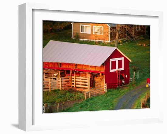 Morning Chores on the Farm, Vershire, Vermont, USA-Charles Sleicher-Framed Photographic Print