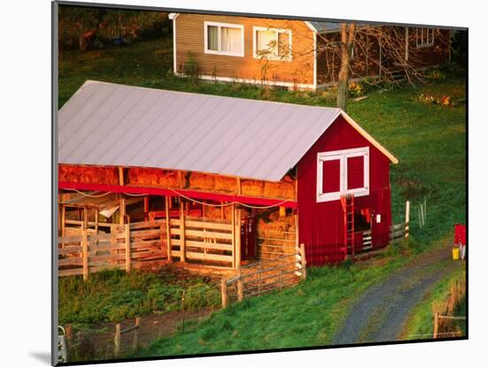 Morning Chores on the Farm, Vershire, Vermont, USA-Charles Sleicher-Mounted Photographic Print