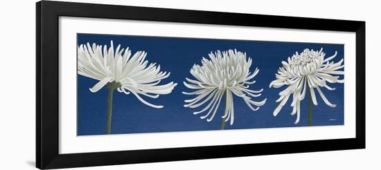 Morning Chrysanthemums V Indigo-Kathrine Lovell-Framed Art Print