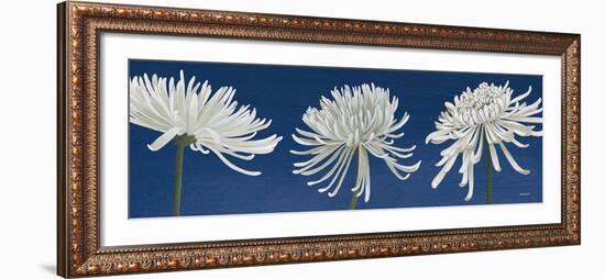 Morning Chrysanthemums V Indigo-Kathrine Lovell-Framed Art Print