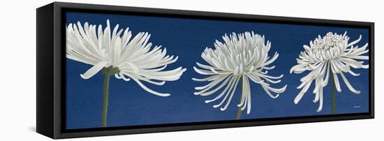 Morning Chrysanthemums V Indigo-Kathrine Lovell-Framed Stretched Canvas