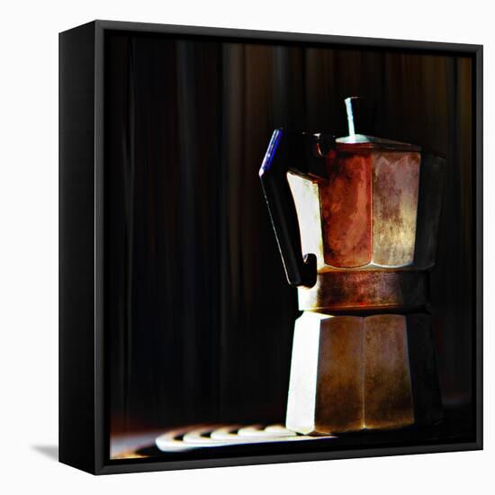 Morning Coffee-Ursula Abresch-Framed Stretched Canvas