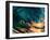 Morning Color - Hawaiian Breaking Wave-Willyam Bradberry-Framed Art Print