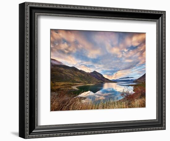 Morning Delight at Lake Hawea-Yan Zhang-Framed Photographic Print