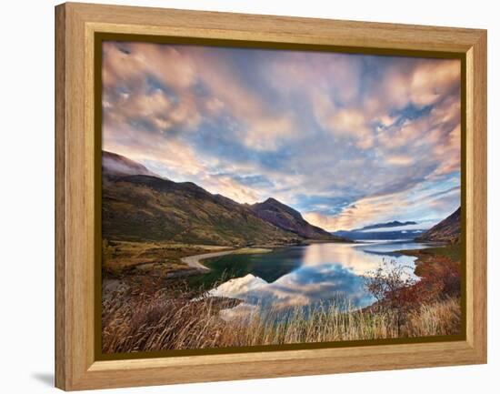 Morning Delight at Lake Hawea-Yan Zhang-Framed Premier Image Canvas