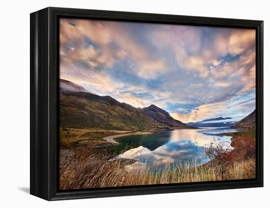 Morning Delight at Lake Hawea-Yan Zhang-Framed Premier Image Canvas