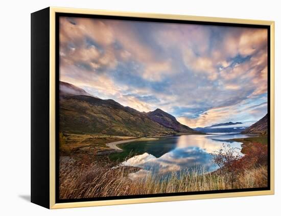 Morning Delight at Lake Hawea-Yan Zhang-Framed Premier Image Canvas