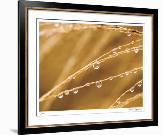 Morning Dew I-Joy Doherty-Framed Giclee Print