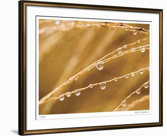 Morning Dew I-Joy Doherty-Framed Giclee Print