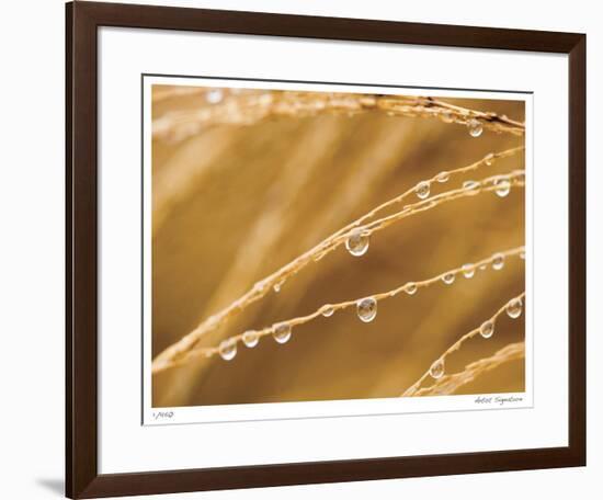 Morning Dew I-Joy Doherty-Framed Giclee Print