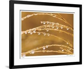 Morning Dew II-Joy Doherty-Framed Giclee Print