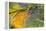 Morning Dew on a Dragonfly Wing-Craig Tuttle-Framed Premier Image Canvas