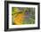 Morning Dew on a Dragonfly Wing-Craig Tuttle-Framed Photographic Print