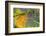 Morning Dew on a Dragonfly Wing-Craig Tuttle-Framed Photographic Print