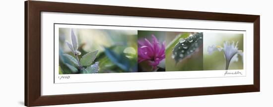 Morning Dew-Florence Delva-Framed Giclee Print