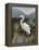 Morning Egret-Kilian-Framed Stretched Canvas