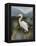 Morning Egret-Kilian-Framed Stretched Canvas