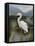 Morning Egret-Kilian-Framed Stretched Canvas