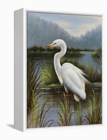 Morning Egret-Kilian-Framed Stretched Canvas