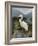 Morning Egret-Kilian-Framed Art Print