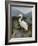 Morning Egret-Kilian-Framed Art Print