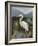 Morning Egret-Kilian-Framed Art Print