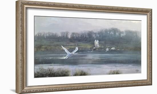 Morning Flight-Clive Madgwick-Framed Giclee Print