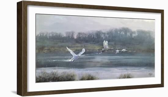 Morning Flight-Clive Madgwick-Framed Giclee Print