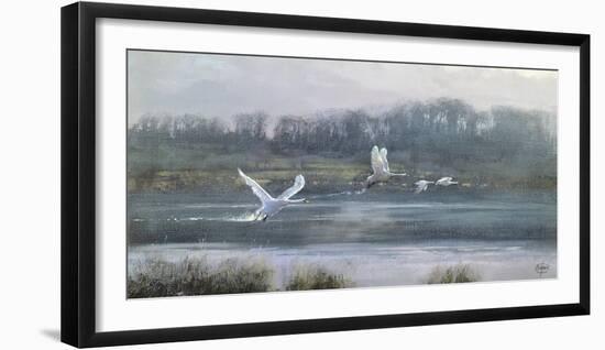Morning Flight-Clive Madgwick-Framed Giclee Print