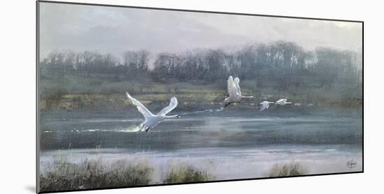 Morning Flight-Clive Madgwick-Mounted Giclee Print