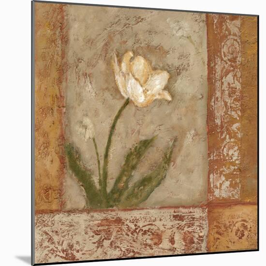 Morning Floral I-Bagnato Judi-Mounted Art Print