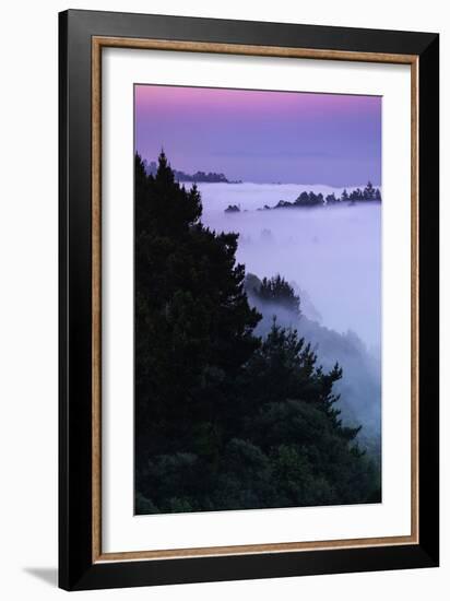 Morning Fog at Montclair Oakland Hills Bay Area Sunrise-Vincent James-Framed Photographic Print