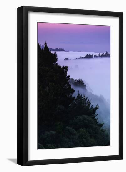 Morning Fog at Montclair Oakland Hills Bay Area Sunrise-Vincent James-Framed Photographic Print