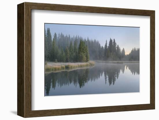 Morning fog at Schwabacher Landing, Grand Teton National Park, Wyoming.-Alan Majchrowicz-Framed Photographic Print