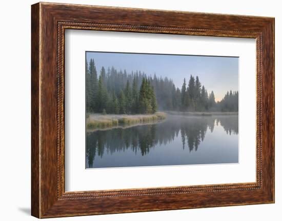 Morning fog at Schwabacher Landing, Grand Teton National Park, Wyoming.-Alan Majchrowicz-Framed Photographic Print