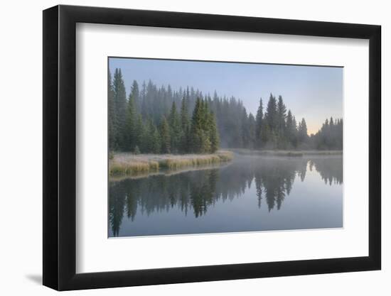 Morning fog at Schwabacher Landing, Grand Teton National Park, Wyoming.-Alan Majchrowicz-Framed Photographic Print