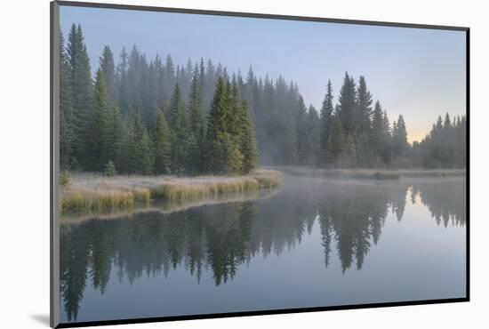 Morning fog at Schwabacher Landing, Grand Teton National Park, Wyoming.-Alan Majchrowicz-Mounted Photographic Print