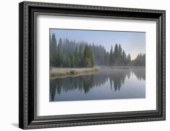 Morning fog at Schwabacher Landing, Grand Teton National Park, Wyoming.-Alan Majchrowicz-Framed Photographic Print