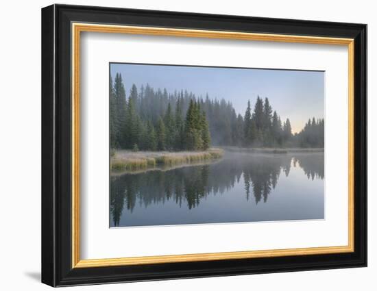 Morning fog at Schwabacher Landing, Grand Teton National Park, Wyoming.-Alan Majchrowicz-Framed Photographic Print